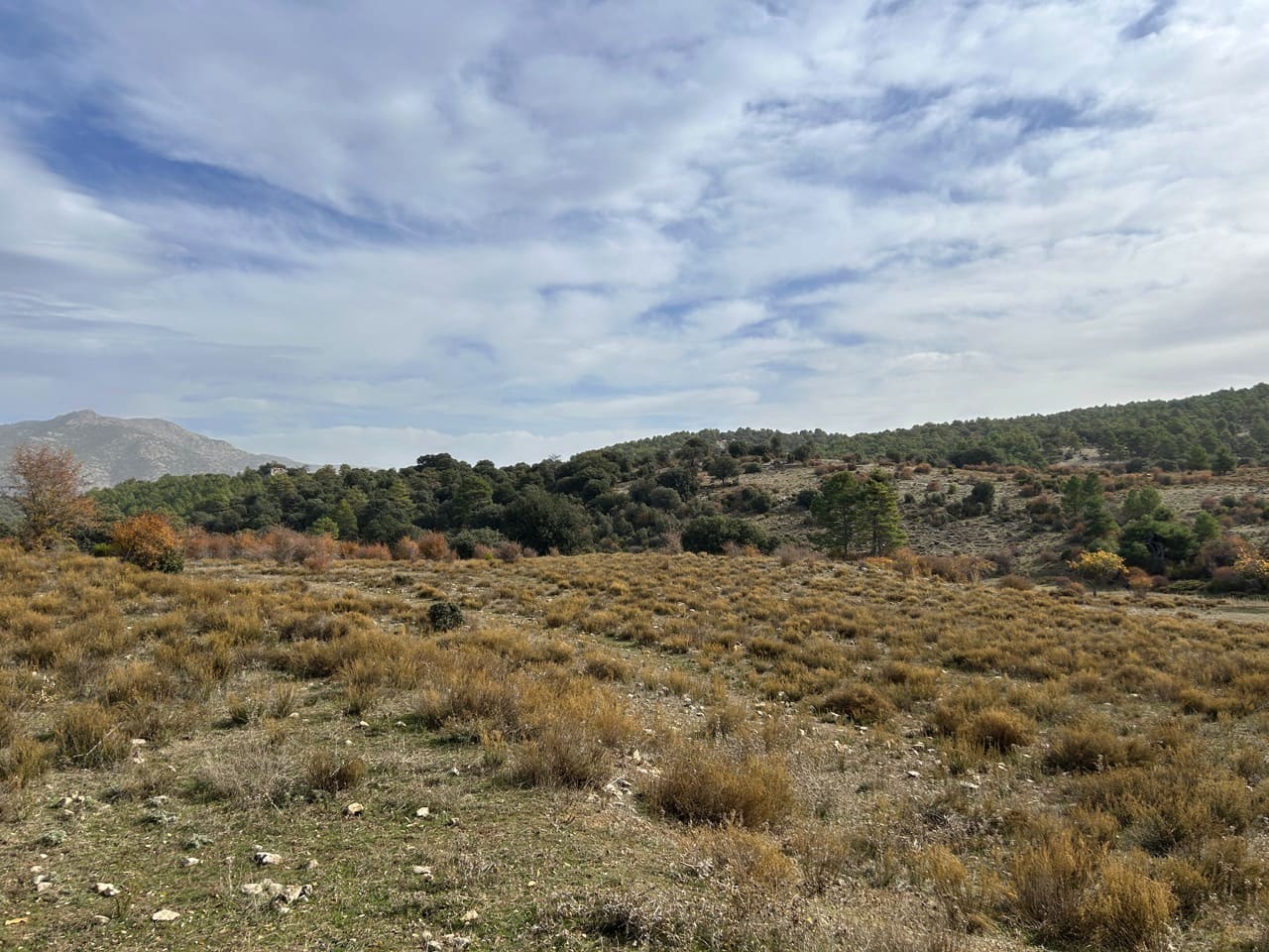 Finca/Landehus til salg i Puebla de Don Fadrique - € 880.000 (Ref: 9395396)