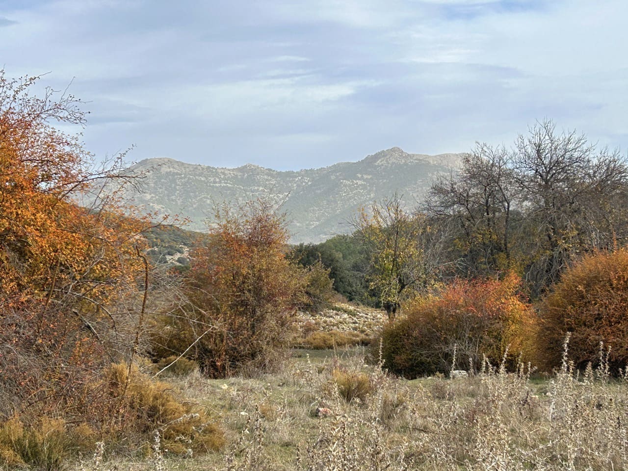 Finca/Landehus til salg i Puebla de Don Fadrique - € 880.000 (Ref: 9395396)