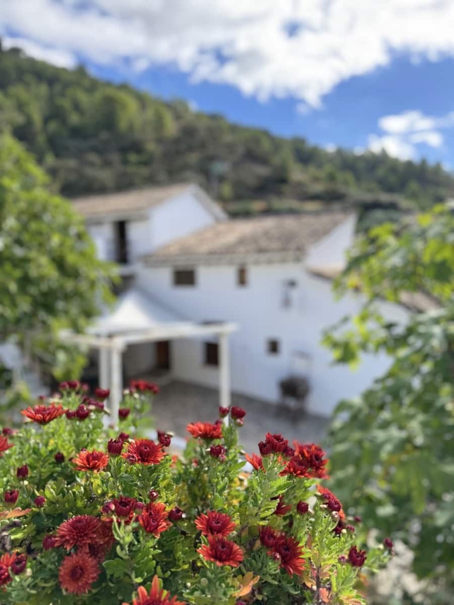 9 bedroom Guesthouse/B & B for sale in Montefrio with garage - € 375,000 (Ref: 9395397)