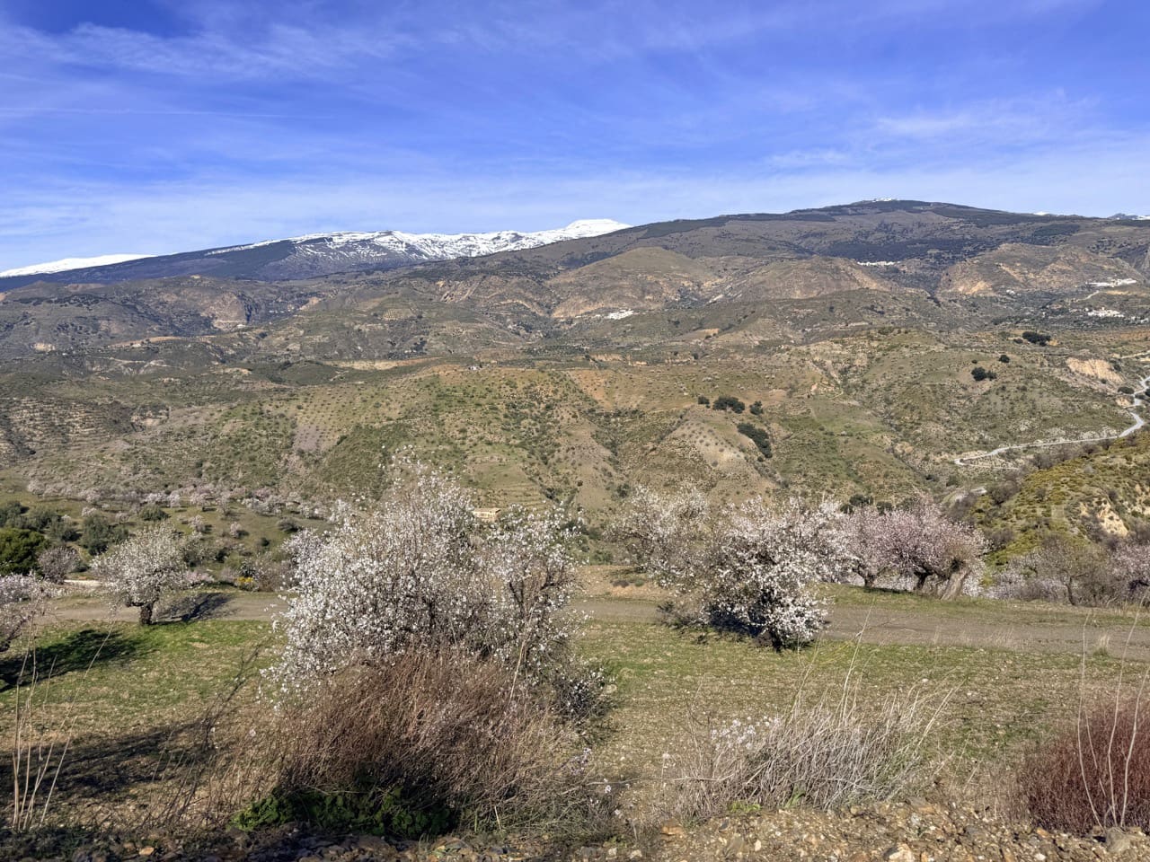 4 chambre Finca/Maison de Campagne à vendre à Lobras avec piscine garage - 790 000 € (Ref: 9628345)