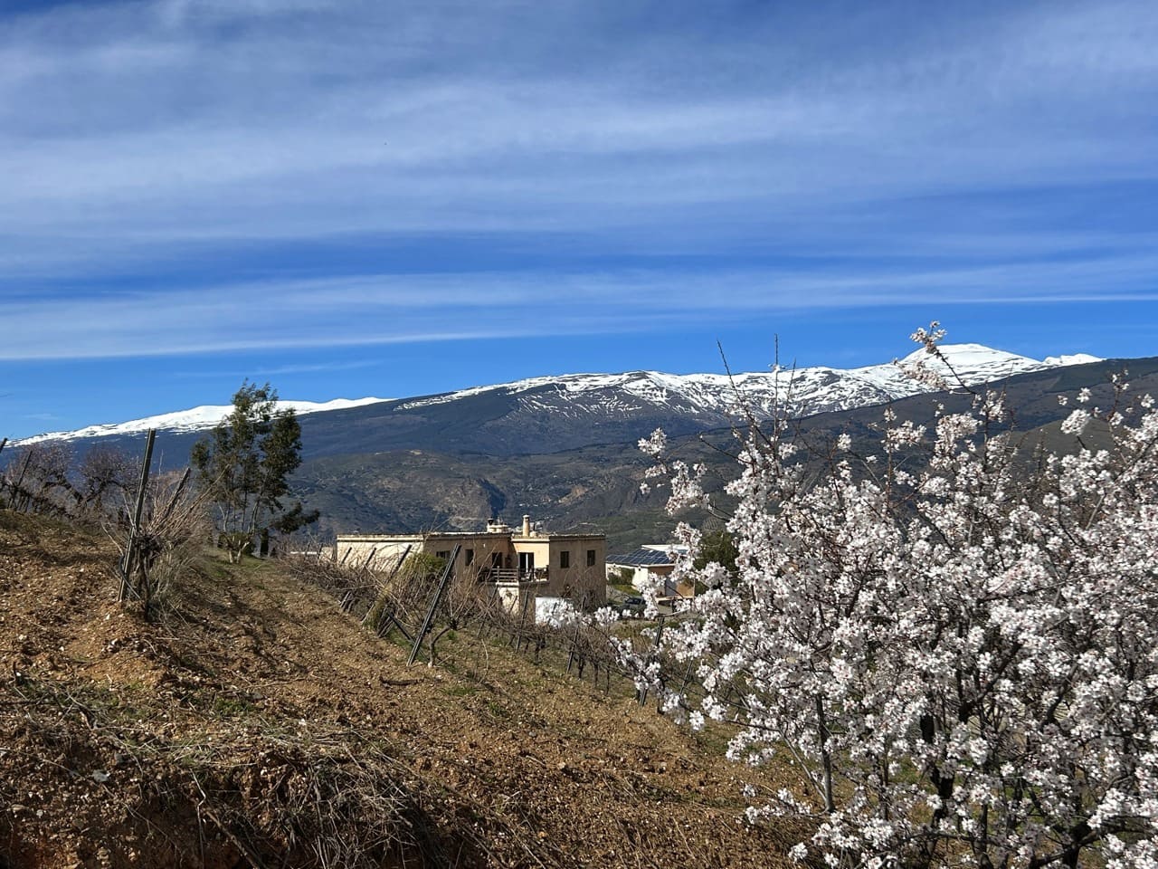 4 chambre Finca/Maison de Campagne à vendre à Lobras avec piscine garage - 790 000 € (Ref: 9628345)