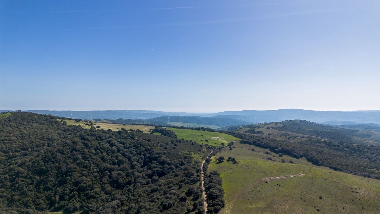 7 slaapkamer Finca/Landhuis te koop in Jimena de la Frontera met garage - € 5.500.000 (Ref: 9632688)