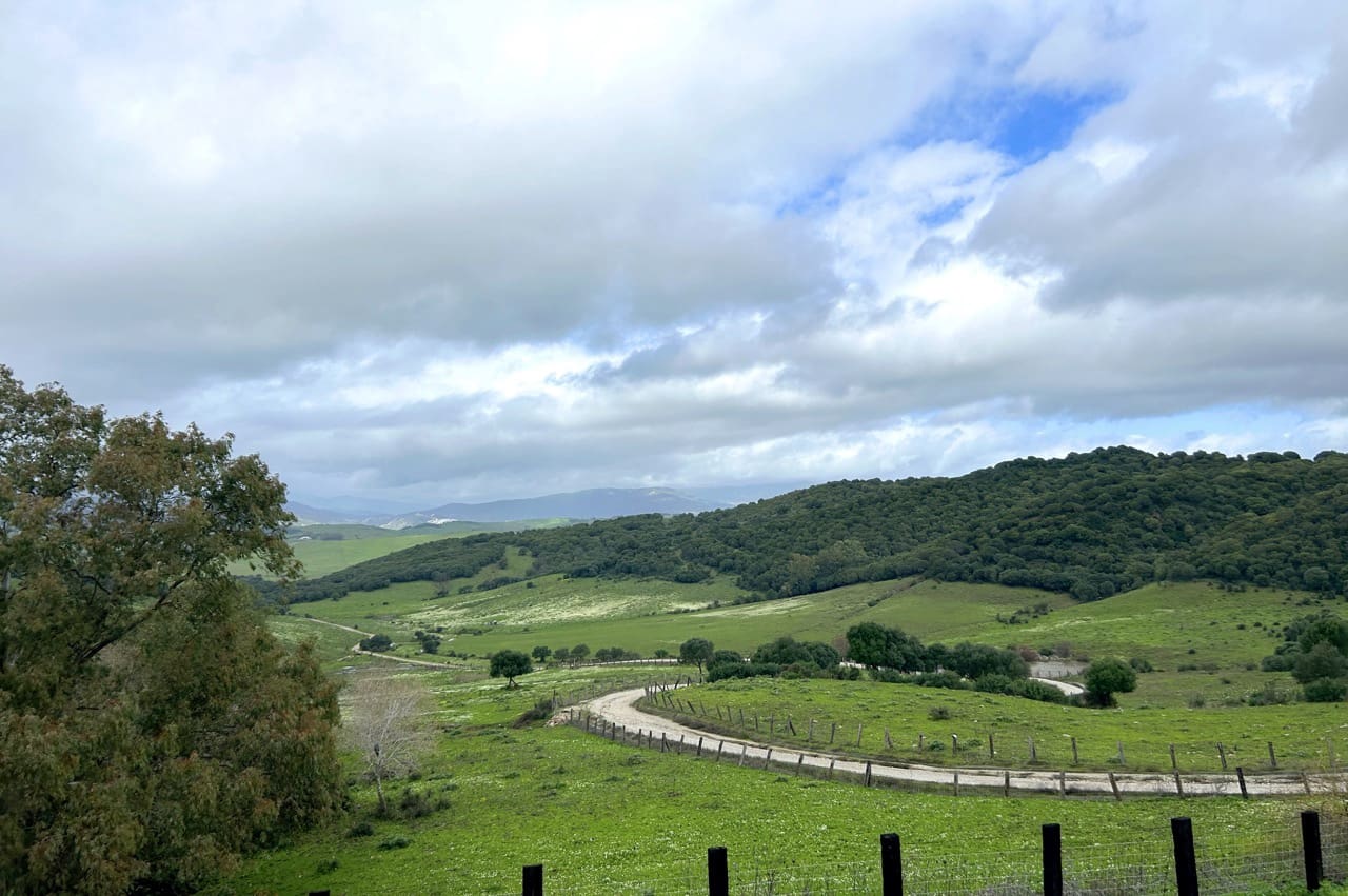 7 slaapkamer Finca/Landhuis te koop in Jimena de la Frontera met garage - € 5.500.000 (Ref: 9632688)