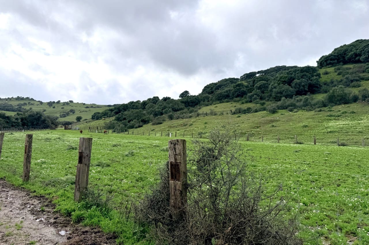 7 slaapkamer Finca/Landhuis te koop in Jimena de la Frontera met garage - € 5.500.000 (Ref: 9632688)