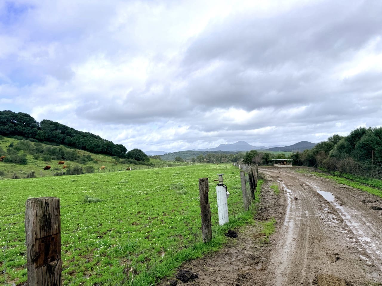 7 slaapkamer Finca/Landhuis te koop in Jimena de la Frontera met garage - € 5.500.000 (Ref: 9632688)