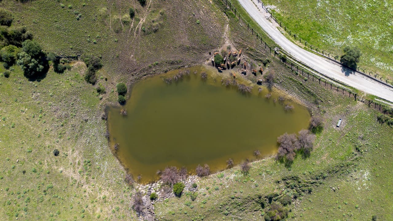 7 slaapkamer Finca/Landhuis te koop in Jimena de la Frontera met garage - € 5.500.000 (Ref: 9632688)