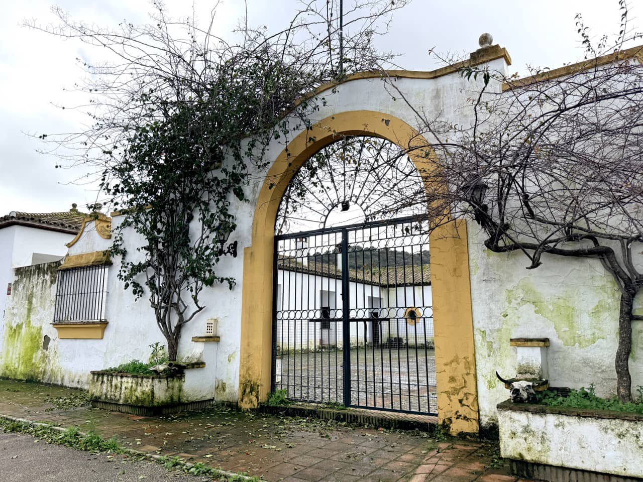 7 slaapkamer Finca/Landhuis te koop in Jimena de la Frontera met garage - € 5.500.000 (Ref: 9632688)