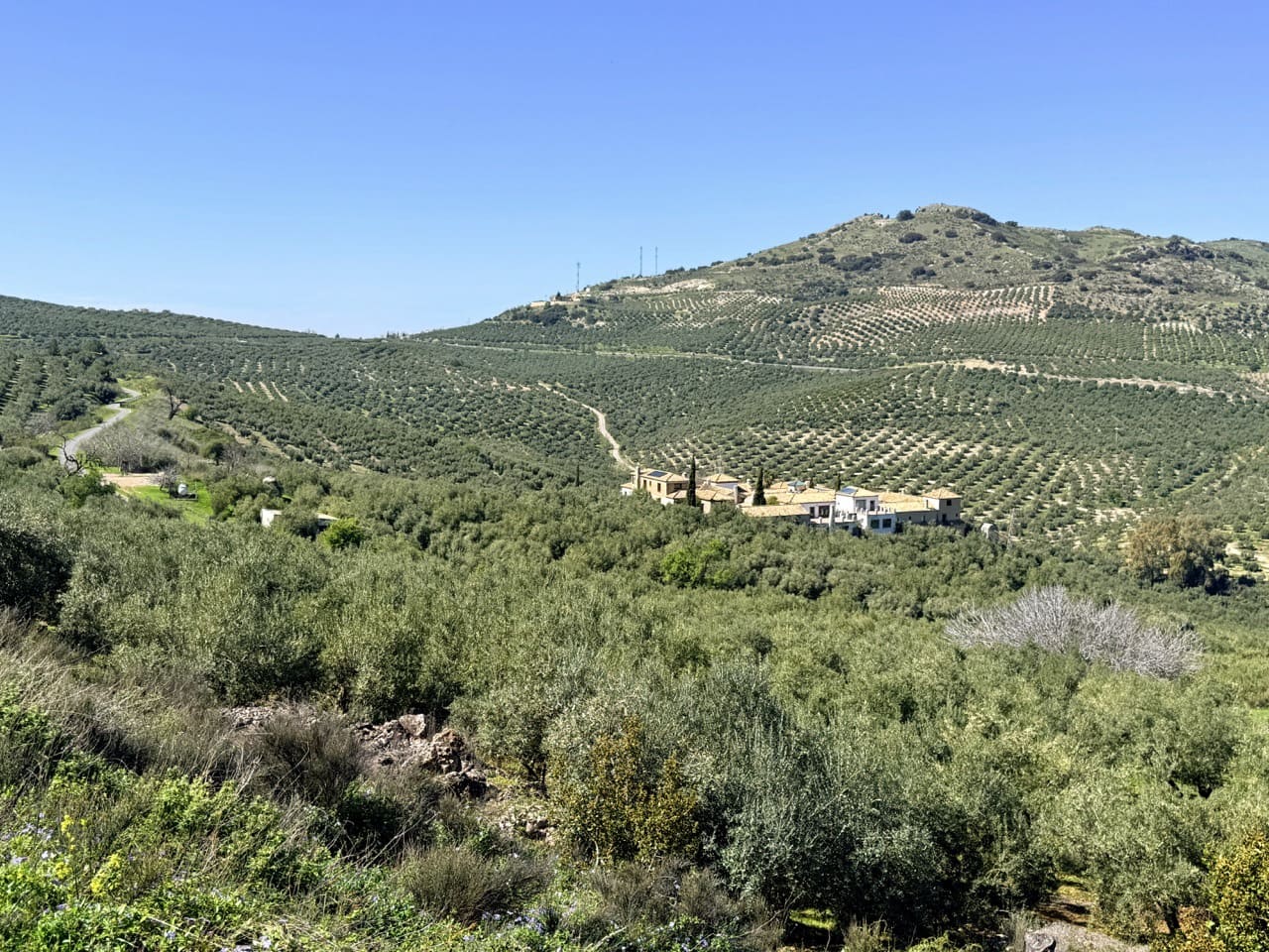 26 Zimmer Hotel zu verkaufen in Zuheros mit Pool Garage - 950.000 € (Ref: 9700169)