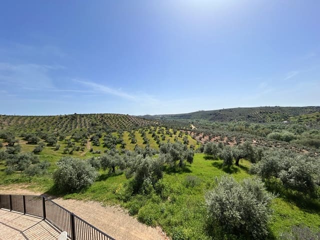 6 bedroom Finca/Country House for sale in Montoro with pool garage - € 325,000 (Ref: 9783475)