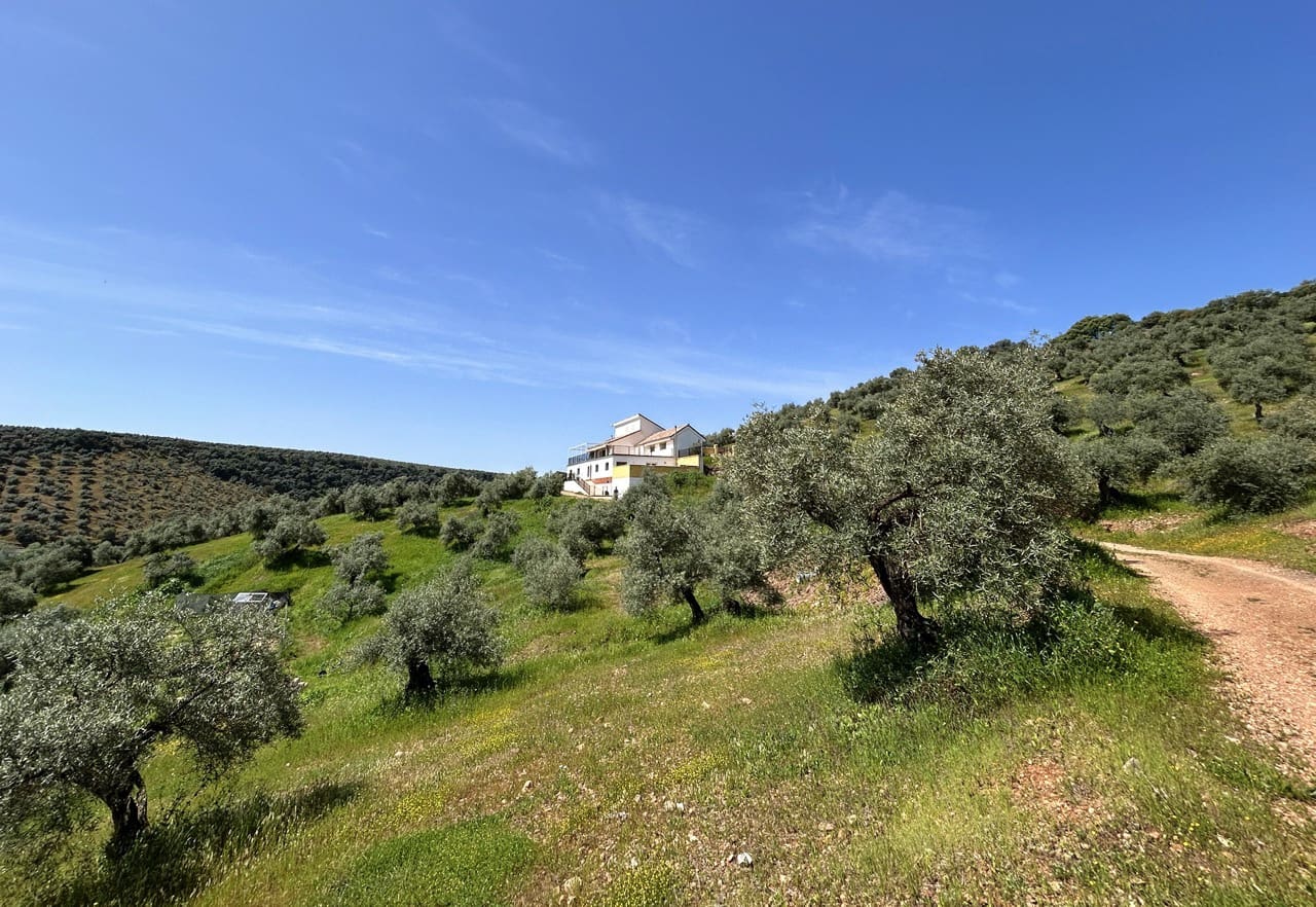 6 bedroom Finca/Country House for sale in Montoro with pool garage - € 325,000 (Ref: 9783475)