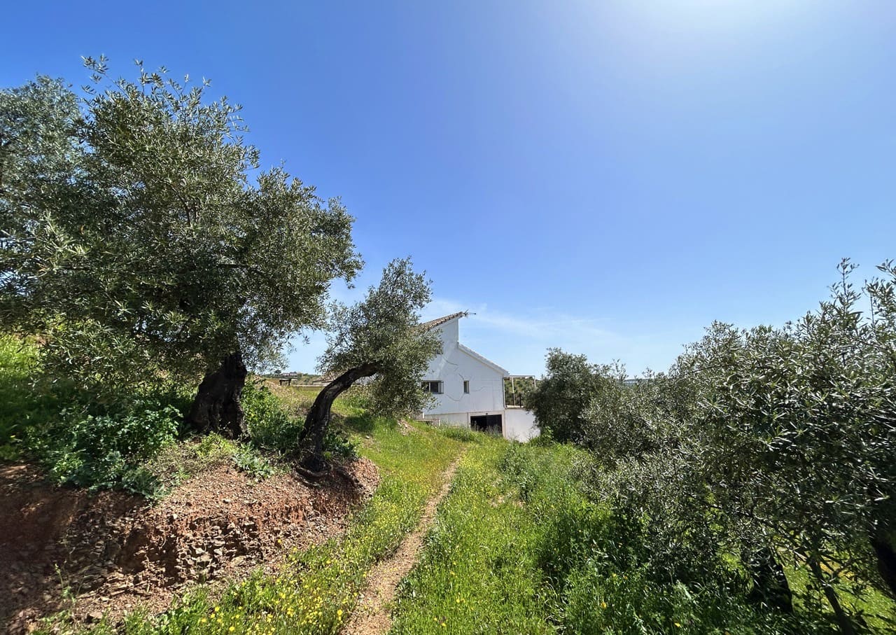 6 bedroom Finca/Country House for sale in Montoro with pool garage - € 325,000 (Ref: 9783475)