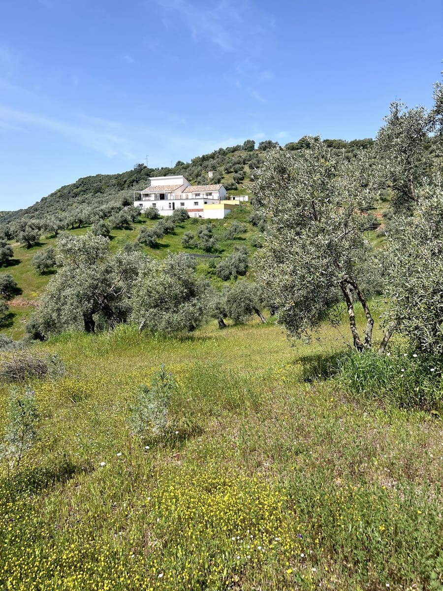 6 bedroom Finca/Country House for sale in Montoro with pool garage - € 325,000 (Ref: 9783475)