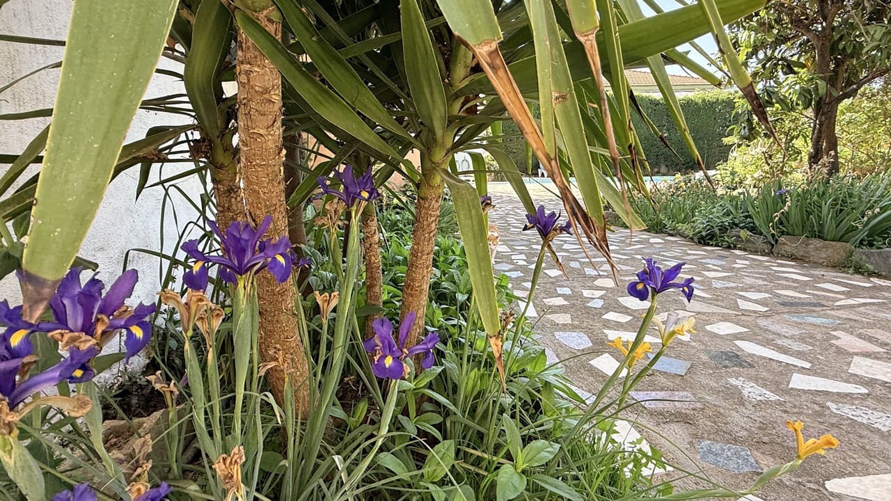 3 bedroom Apartment for sale in Acequias with pool - € 185,000 (Ref: 9805359)