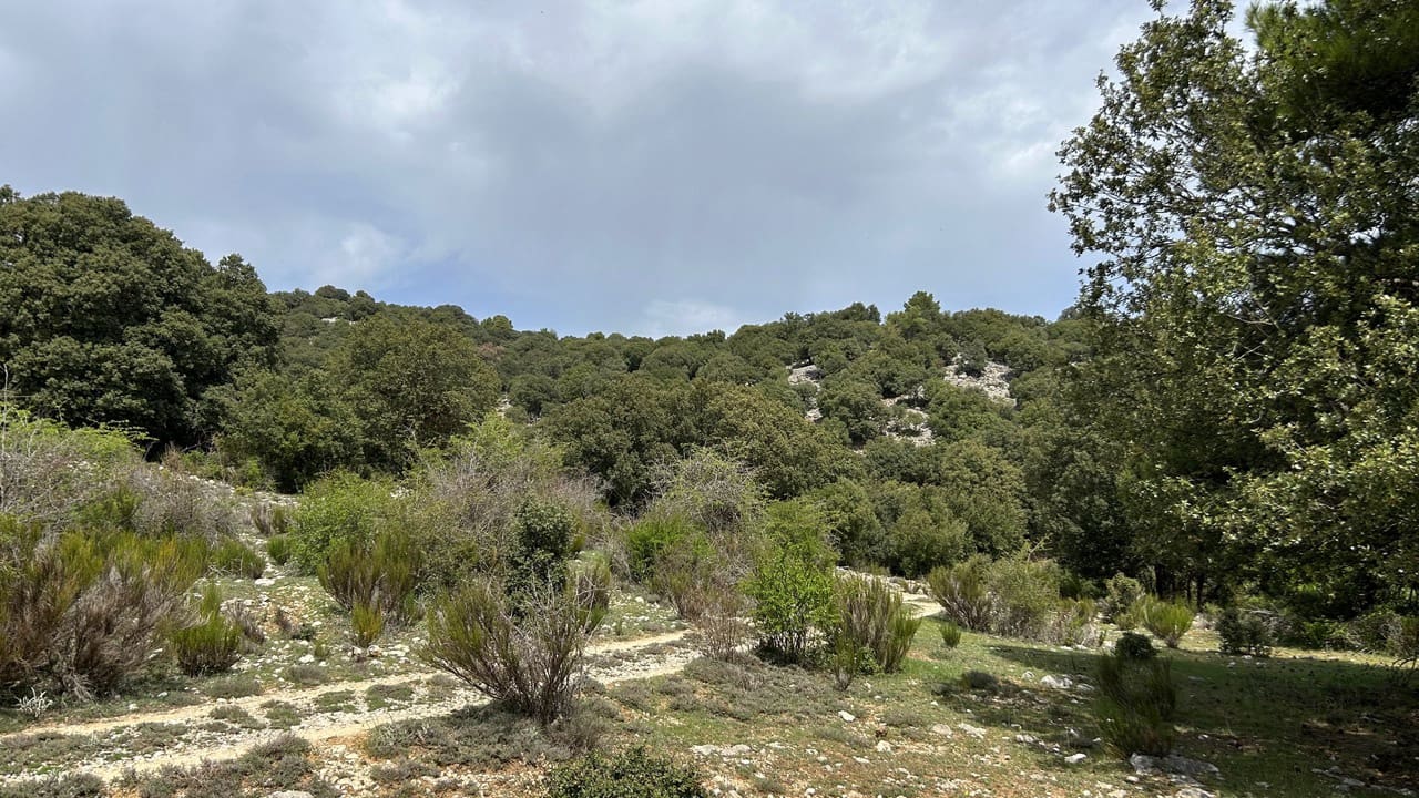 Finca/Country House for sale in Puebla de Don Fadrique - € 1,650,000 (Ref: 9813581)