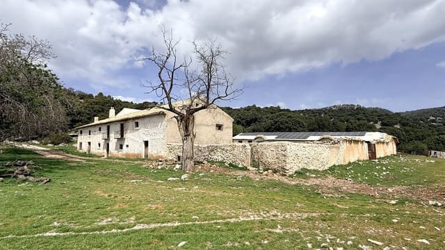 Finca/Landehus til salg i Puebla de Don Fadrique - € 1.650.000 (Ref: 9813581)