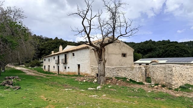 Finca/Landehus til salg i Puebla de Don Fadrique - € 1.650.000 (Ref: 9813581)