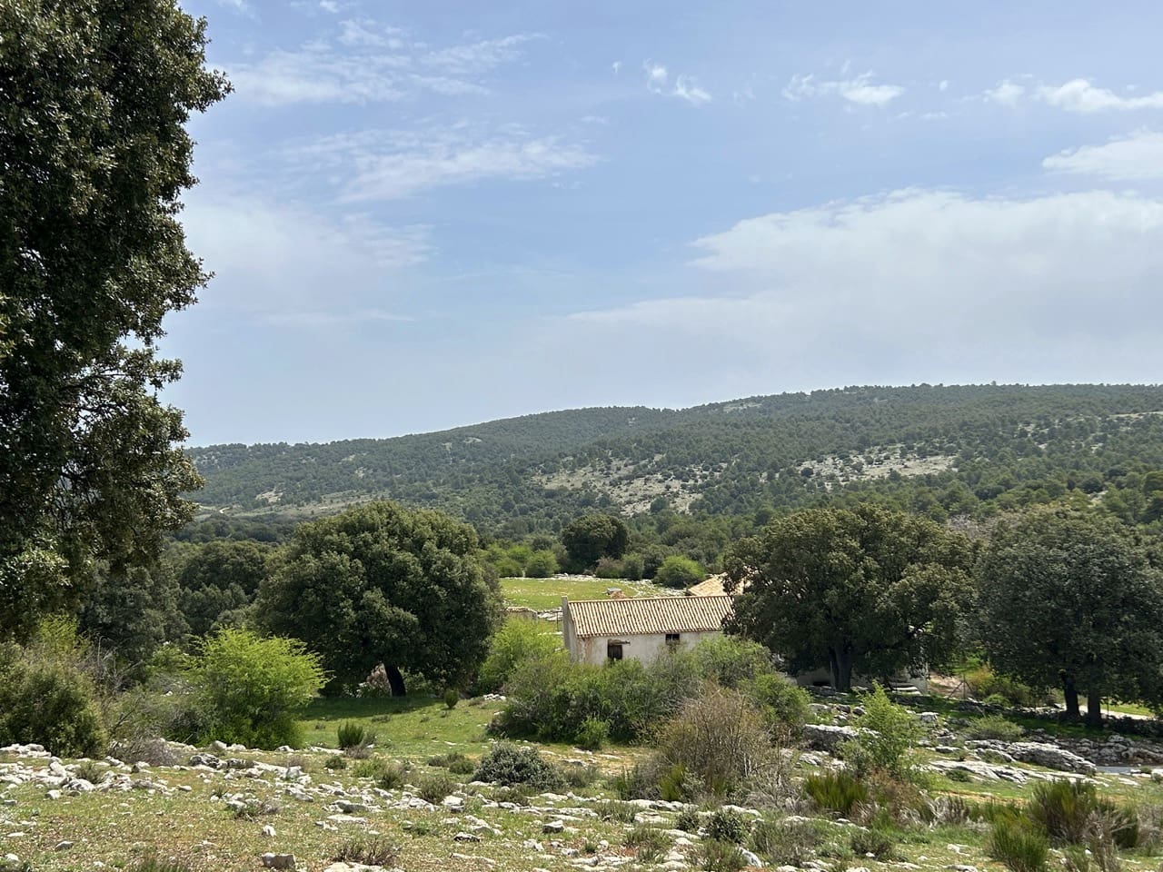 Finca/Country House for sale in Puebla de Don Fadrique - € 1,650,000 (Ref: 9813581)