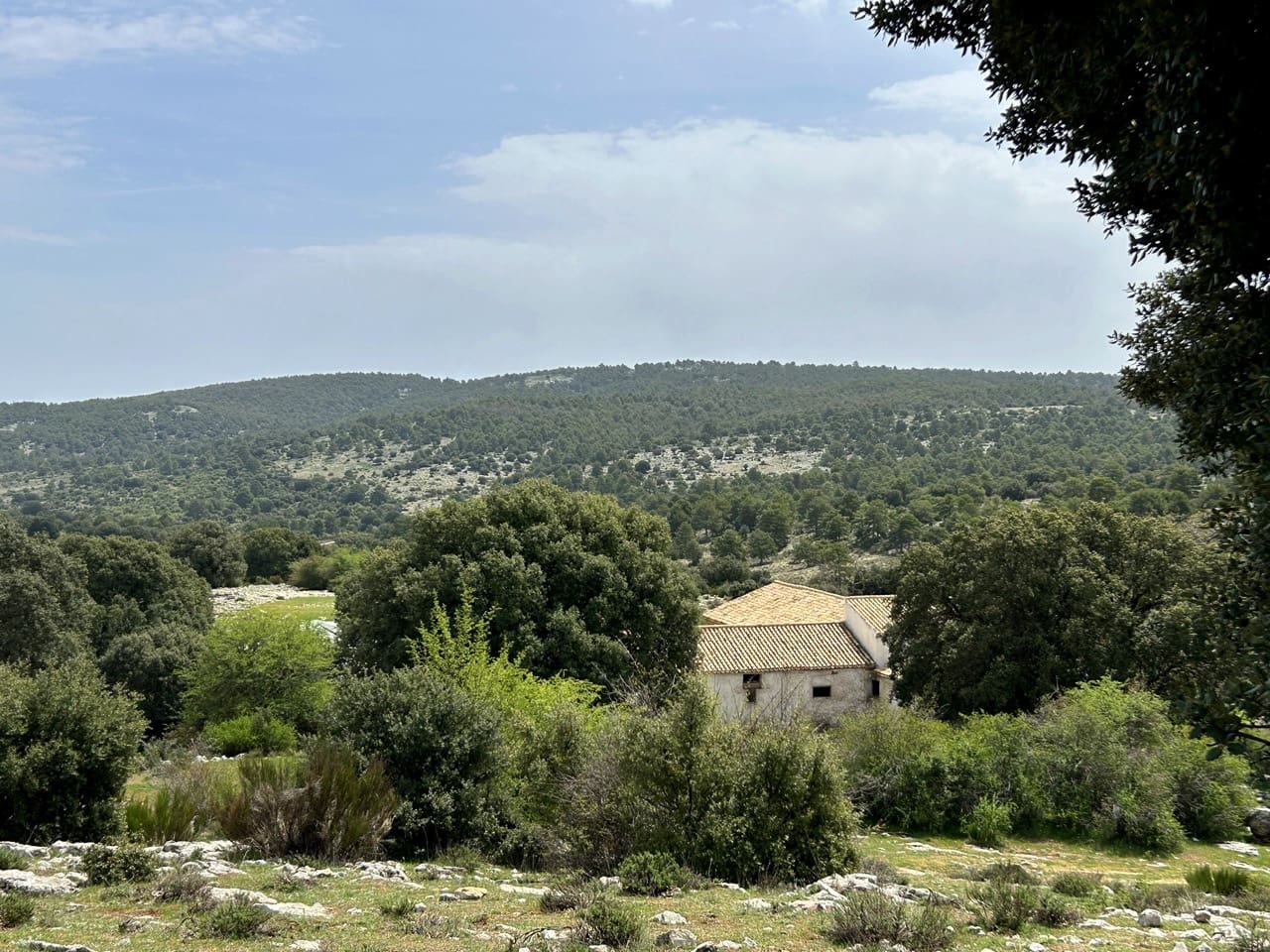 Finca/Country House for sale in Puebla de Don Fadrique - € 1,650,000 (Ref: 9813581)