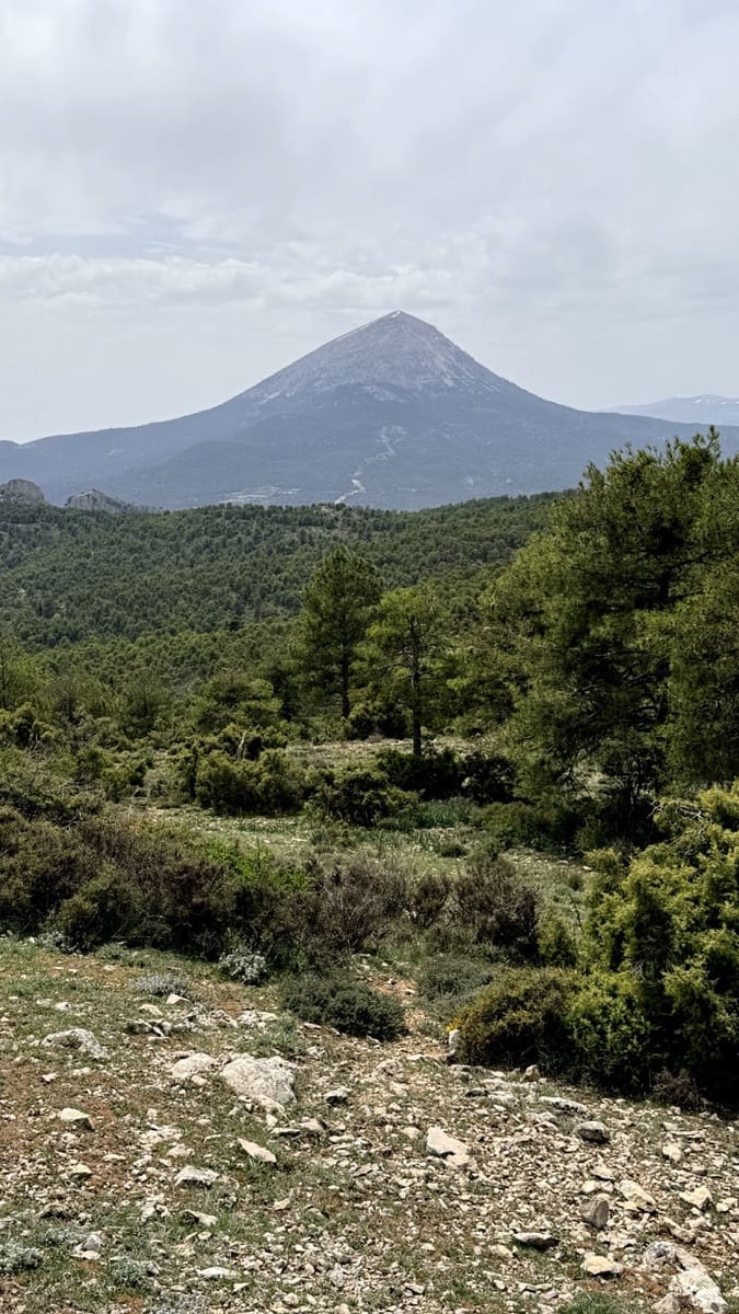 Finca/Casa Rural en Huéscar en venta - 1.260.000 € (Ref: 9813582)
