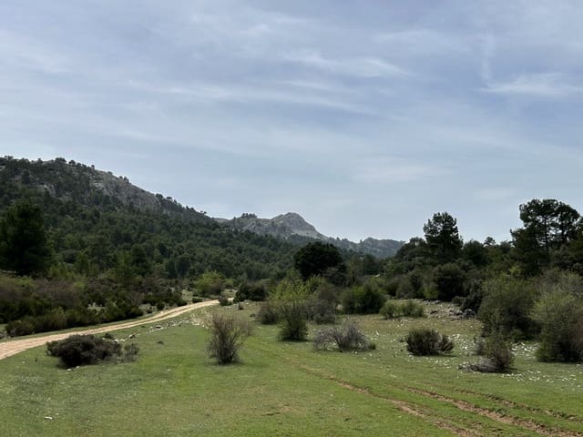 Finca/Casa Rural en Huéscar en venta - 1.260.000 € (Ref: 9813582)