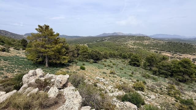 Finca/Casa Rural en Huéscar en venta - 1.260.000 € (Ref: 9813582)