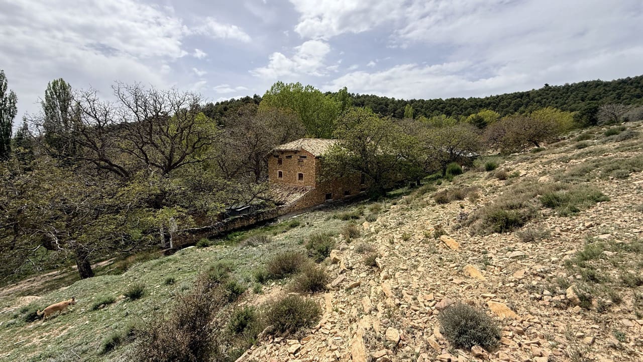 8 camera da letto Finca/Casa di Campagna in vendita in Puebla de Don Fadrique con piscina - 640.000 € (Rif: 9861158)