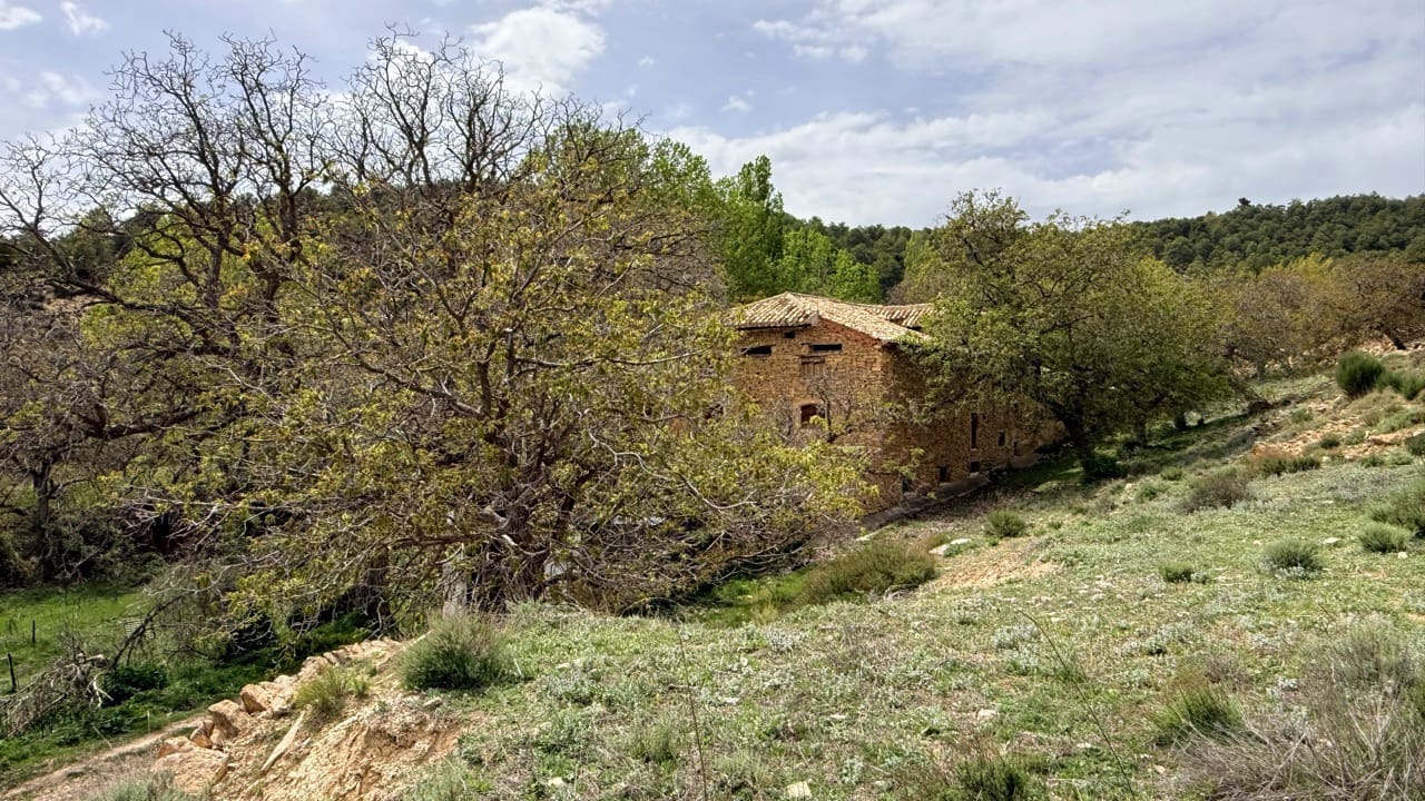 8 camera da letto Finca/Casa di Campagna in vendita in Puebla de Don Fadrique con piscina - 640.000 € (Rif: 9861158)