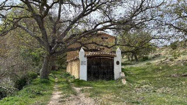8 camera da letto Finca/Casa di Campagna in vendita in Puebla de Don Fadrique con piscina - 640.000 € (Rif: 9861158)