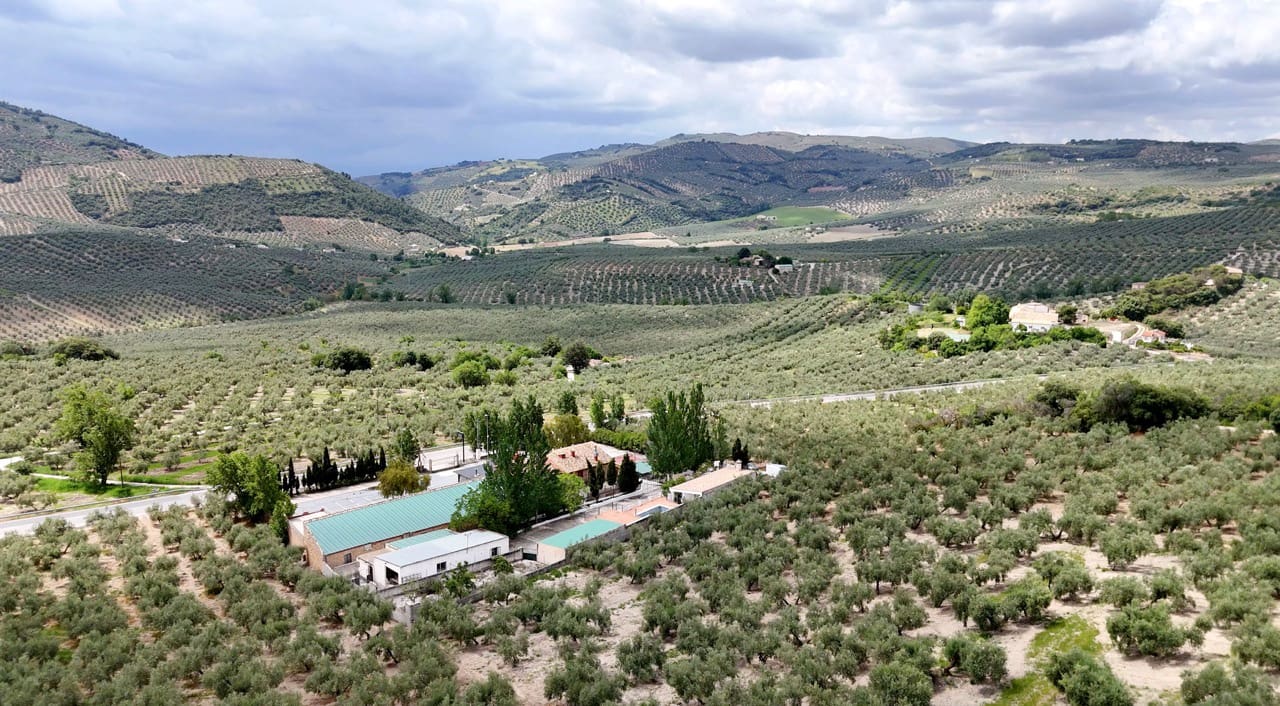 6 soverom Kommersiell til salgs i Montefrio med svømmebasseng garasje - € 599 999 (Ref: 9956240)