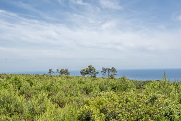 Ruin til salg i Montgó - Ermita, Javea / Xàbia - € 599.000 (Ref: 8657311)