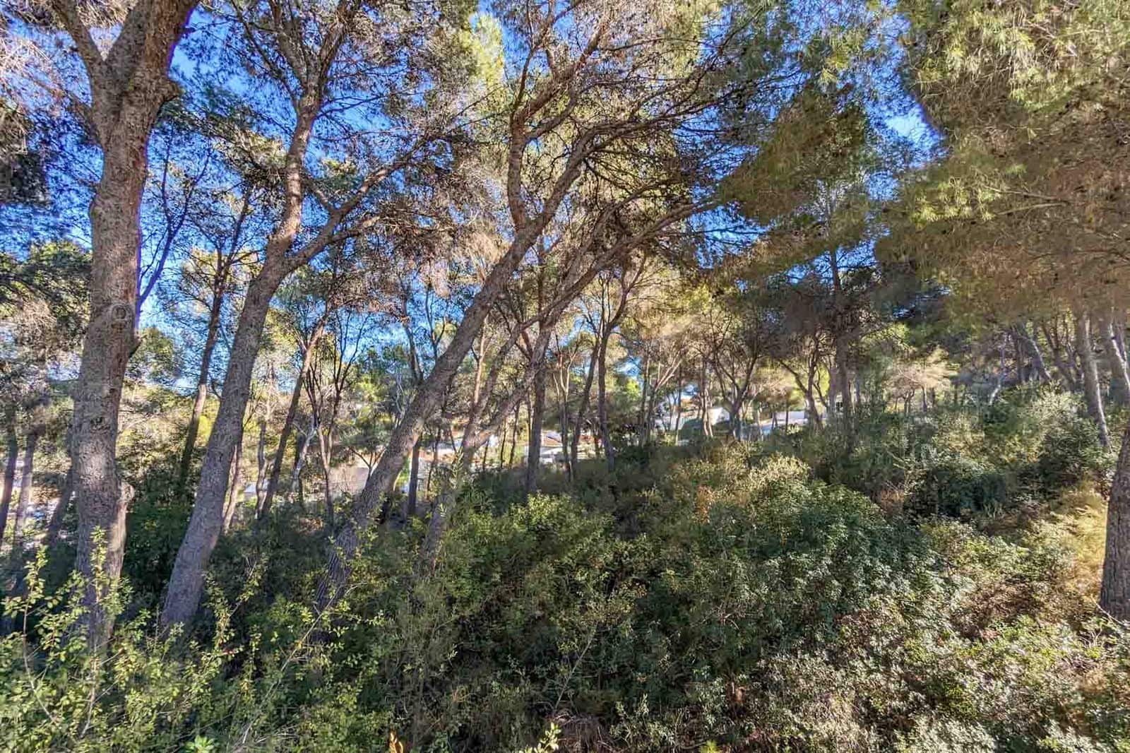 6 makuuhuone Huvila myytävänä paikassa Moraira mukana uima-altaan - 4 500 000 € (Ref: 8657500)