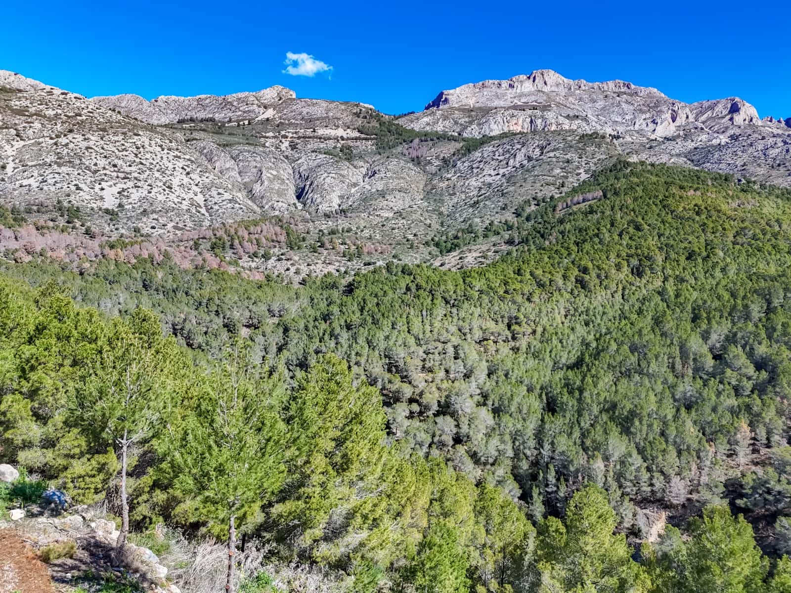 Bouwgrond te koop in Altea - € 145.000 (Ref: 8970318)