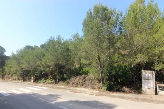 Byggegrund til salg i Montgó - Ermita, Javea / Xàbia - € 250.000 (Ref: 9013063)