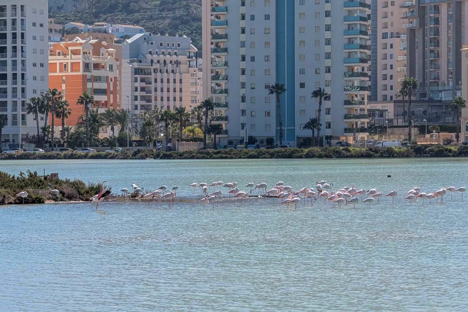 3 bedroom Villa for sale in Calpe / Calp with pool - € 799,000 (Ref: 9715170)