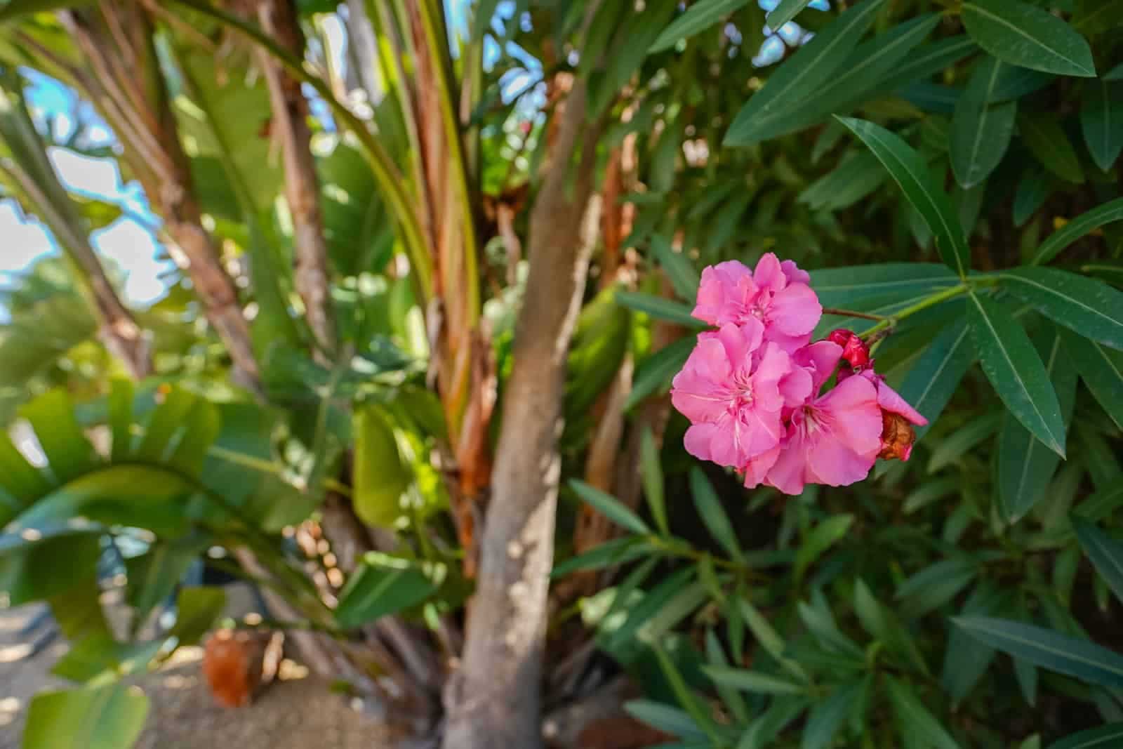 3 bedroom Villa for sale in Javea / Xabia with pool - € 765,000 (Ref: 9761022)