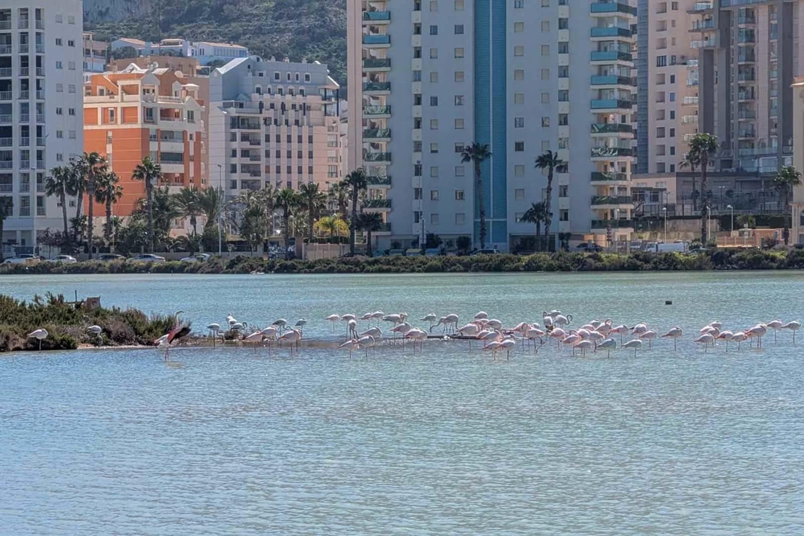 3 camera da letto Villa in vendita in Calpe / Calp con piscina - 799.000 € (Rif: 9761030)