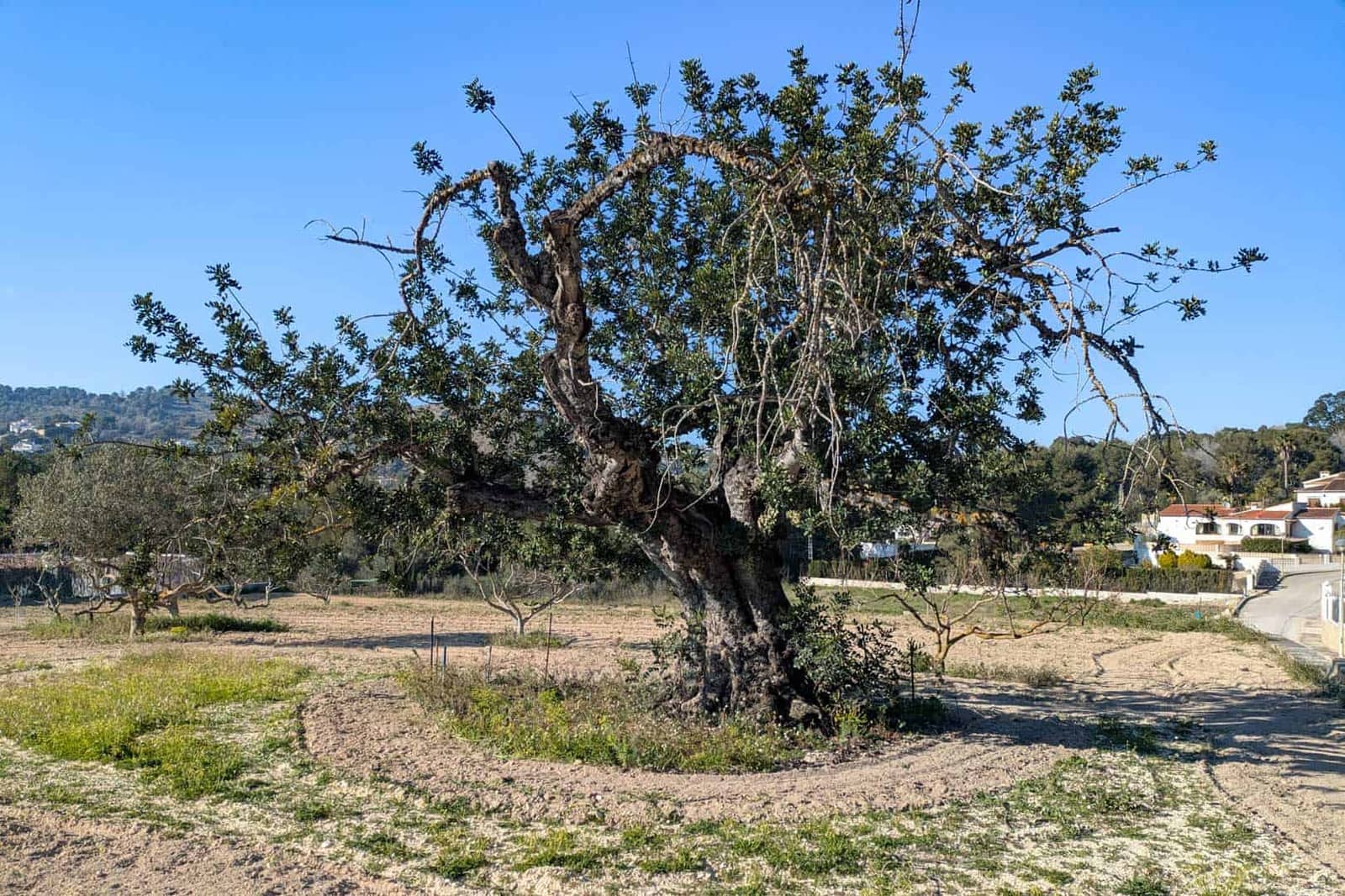 Willa na sprzedaż w Javea / Xabia z garażem - 725 000 € (Ref: 9761035)