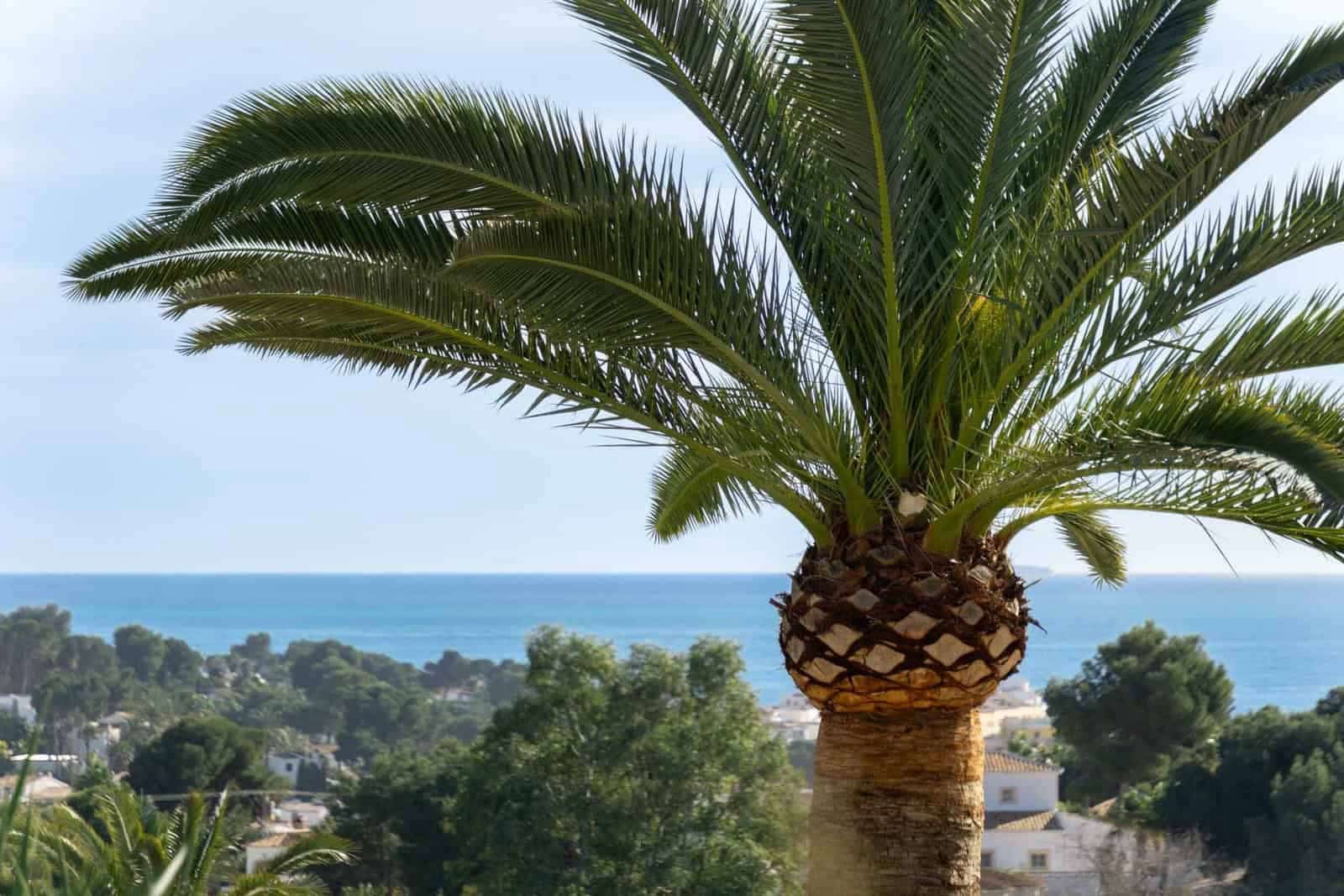 3 slaapkamer Villa te koop in Moraira met zwembad - € 399.000 (Ref: 9761046)