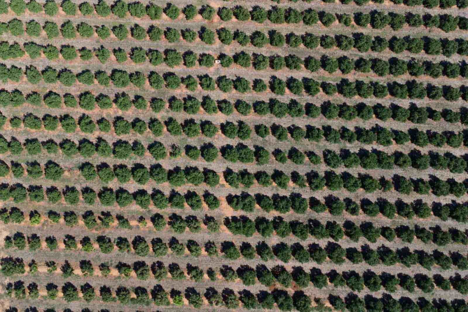 Villa te koop in Denia - € 680.000 (Ref: 9761084)