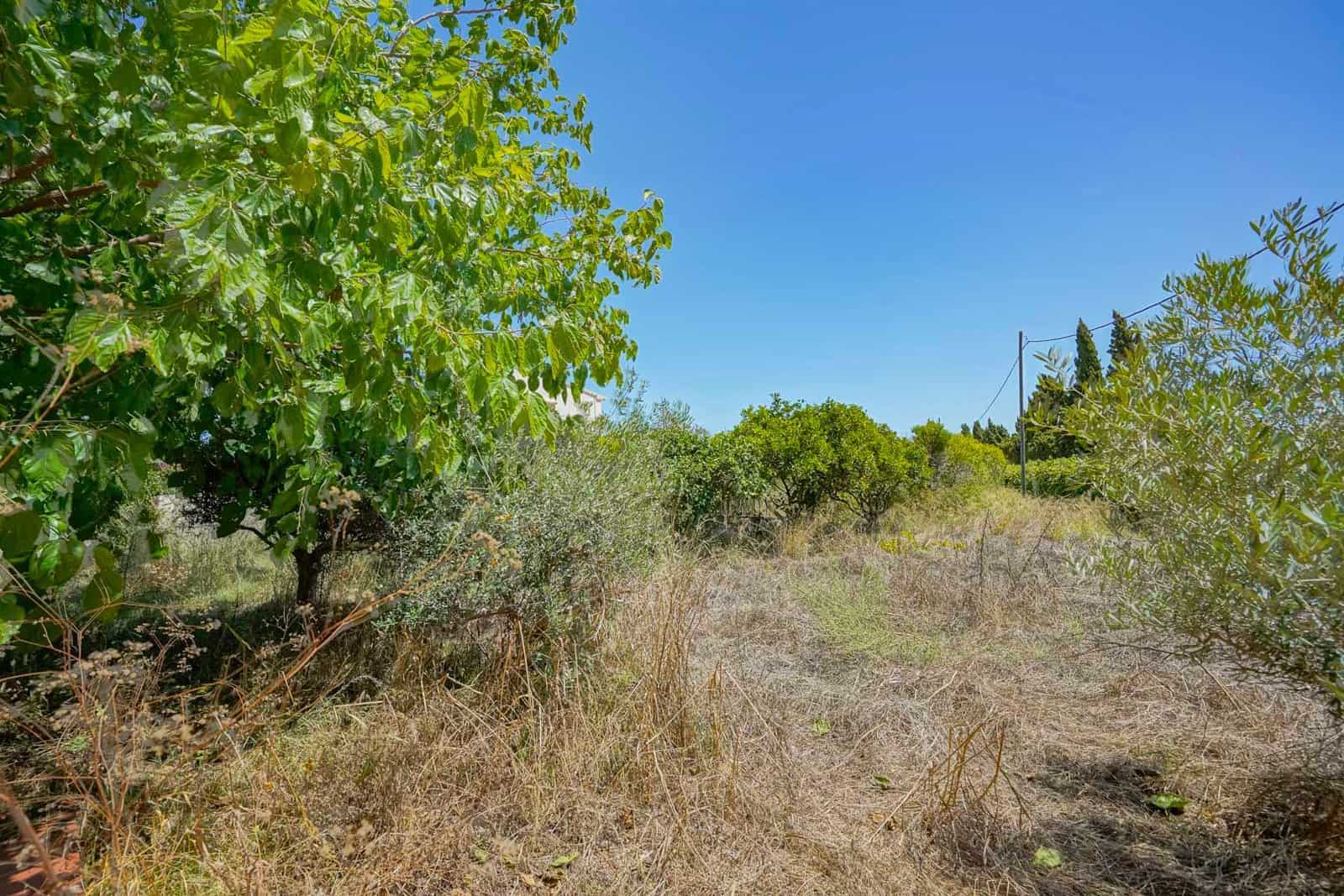 4 sypialnia Willa na sprzedaż w Adsubia - 525 000 € (Ref: 9761104)