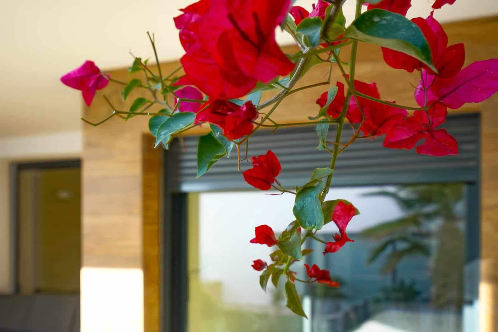 2 chambre Appartement à vendre à Cumbre del Sol avec piscine - 360 000 € (Ref: 9761136)