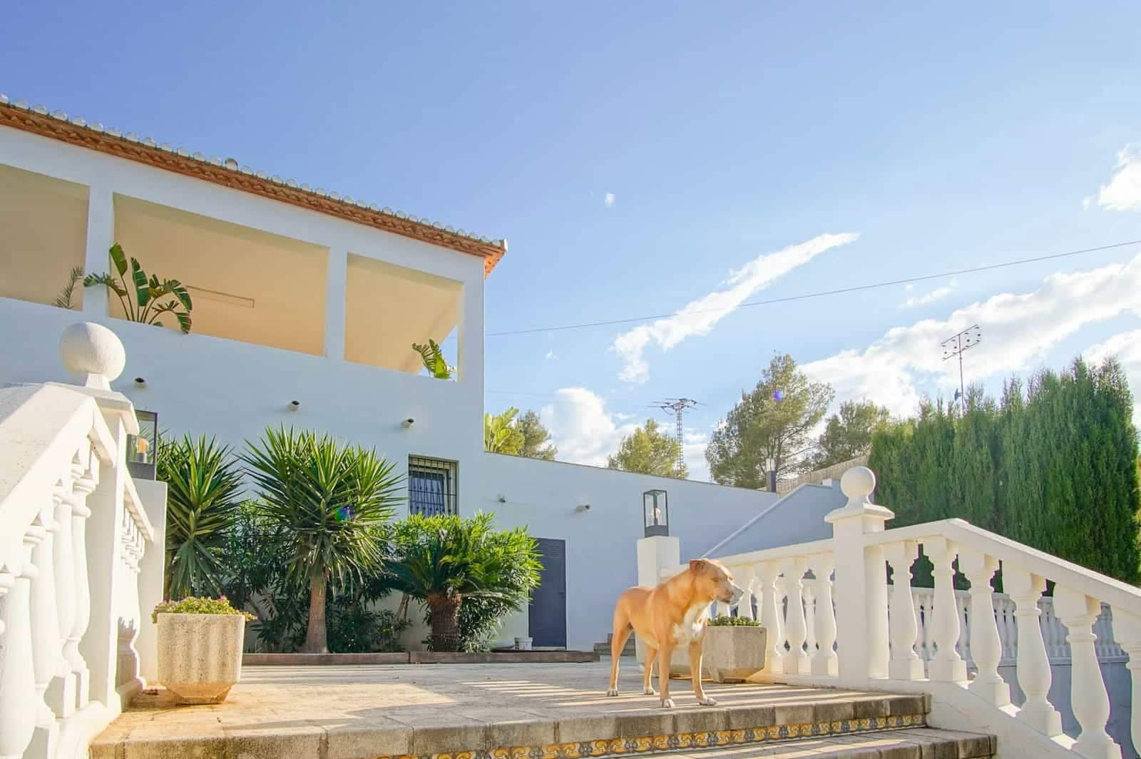 6 soverom Villa til salgs i Denia med svømmebasseng garasje - € 1 060 000 (Ref: 9761164)