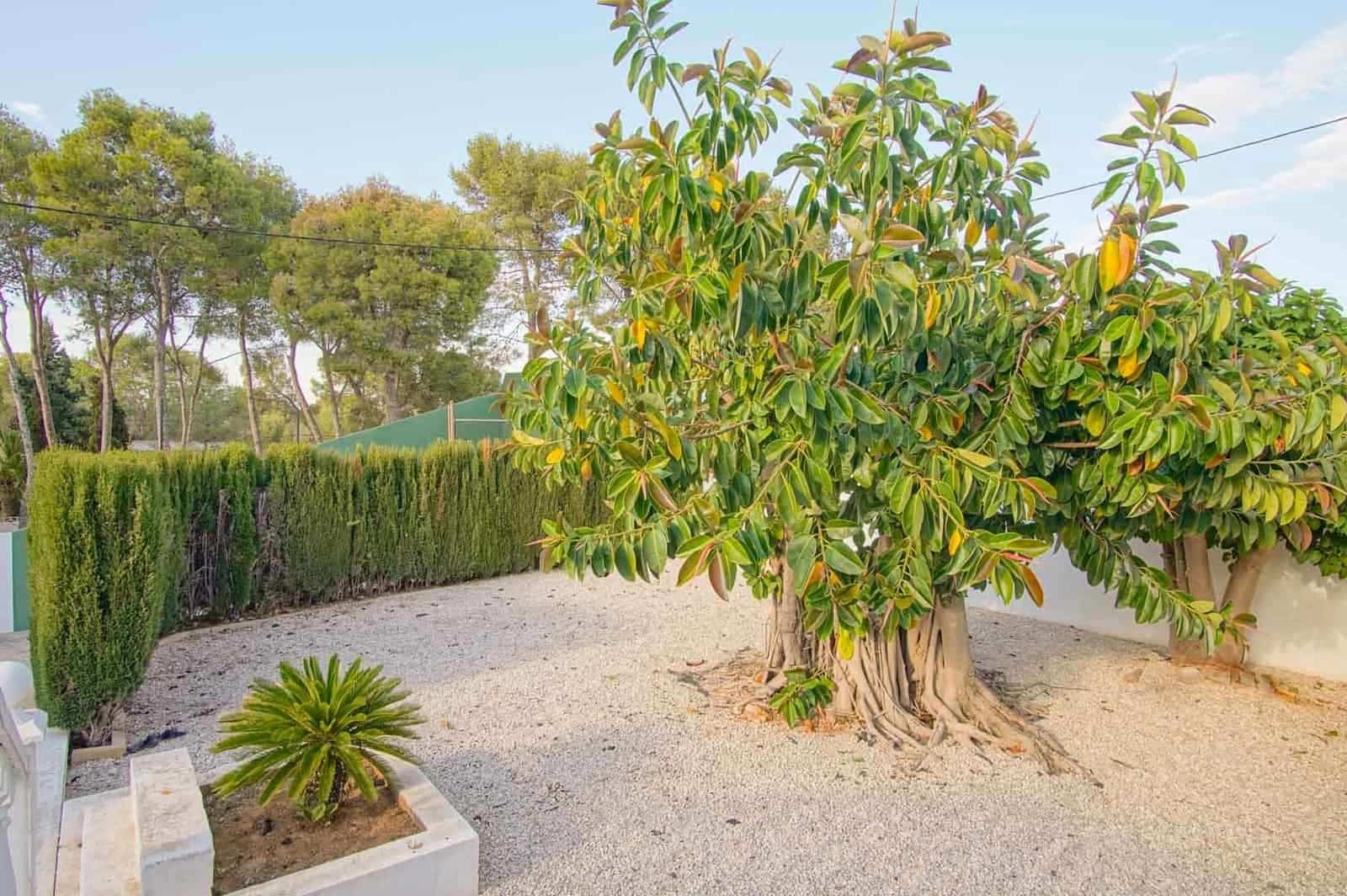 6 soverom Villa til salgs i Denia med svømmebasseng garasje - € 1 060 000 (Ref: 9761164)
