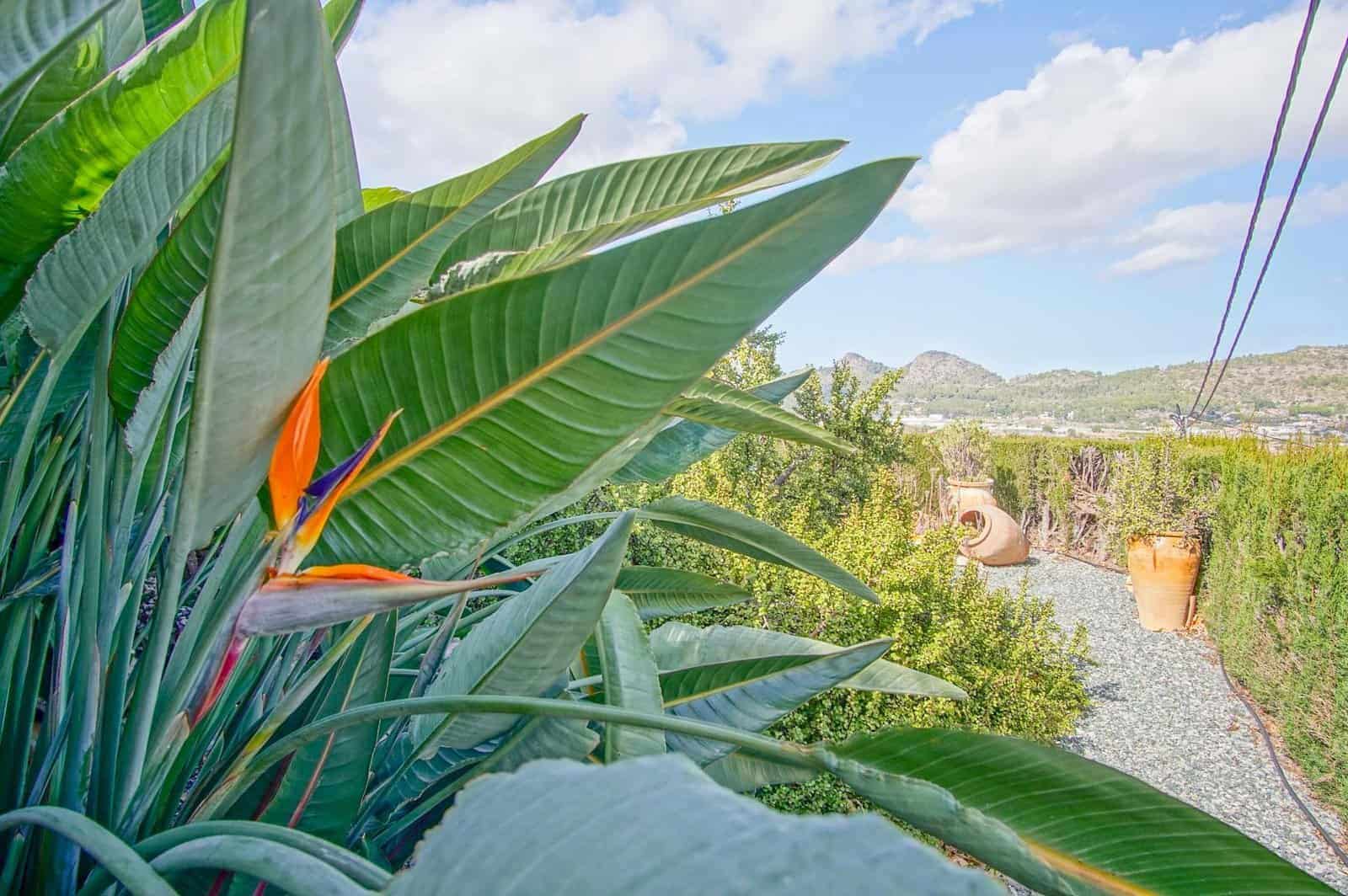 4 sypialnia Willa na sprzedaż w Pedreguer z basenem garażem - 680 000 € (Ref: 9761173)