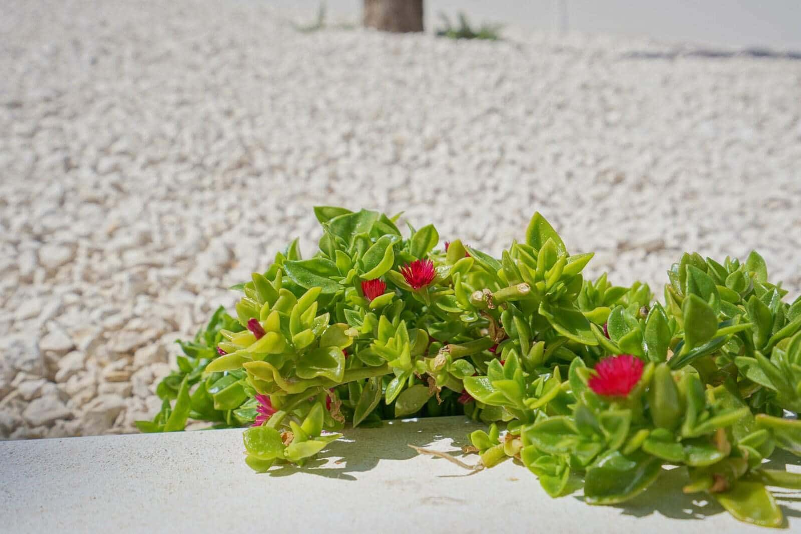 4 soveværelse Villa til salg i Moraira med swimmingpool garage - € 1.499.000 (Ref: 9761186)