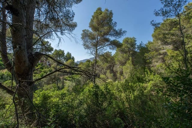 Mark till salu i Partides comunes - Adsubia, Javea / Xàbia - 150 000 € (Ref: 9761204)