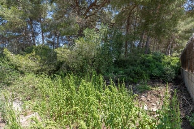 Terre non Aménagée à vendre à Javea / Xabia - 185 000 € (Ref: 9761209)