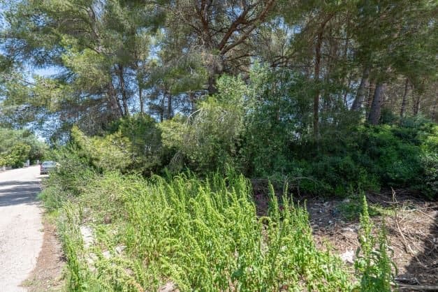 Grunde uden byggetilladelser til salg i La Granadella  - Costa Nova, Javea / Xàbia - € 185.000 (Ref: 9761209)
