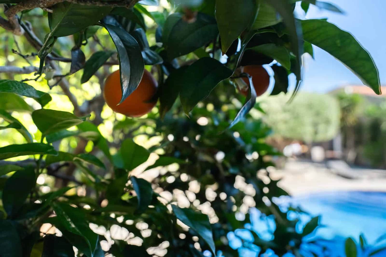 4 soveværelse Villa til salg i Javea / Xabia med swimmingpool - € 895.000 (Ref: 9797392)