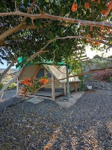 5 camera da letto Finca/Casa di Campagna in vendita in Guia de Isora con piscina - 2.100.000 € (Rif: 9389957)